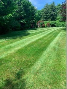 skeets-landscaping-ulster-county-ny-0004
