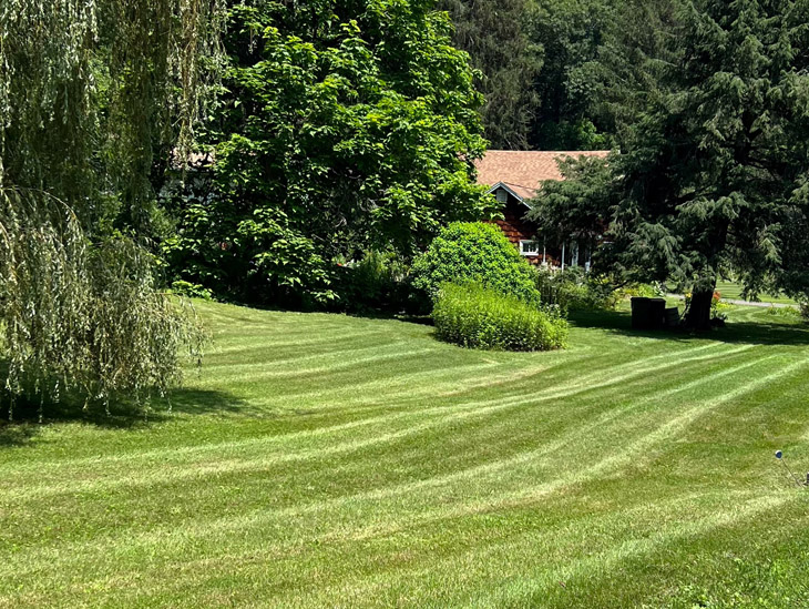 Skeet's Landscaping, Inc. lawn maintenance services ulster county ny 1