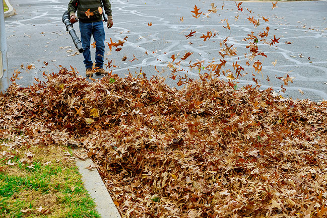 Fallen leaves near houses are being cleaned by skeets landscaping ny